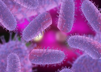 USDA approves funding to address rabies outbreaks