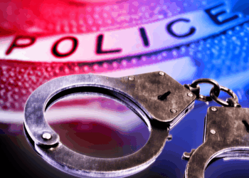 Police: Man, sent to help, abandons ‘gravely’ injured dog at cemetery