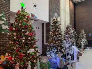 Festival of Trees returns to downtown Watertown