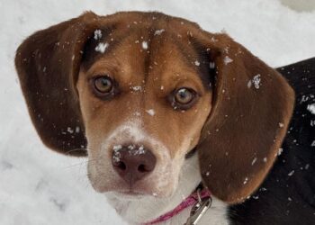 Near record cold possible with some spots going below zero by dawn Friday!