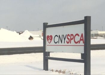 HVAC company donates to CNY SPCA during leadership transition