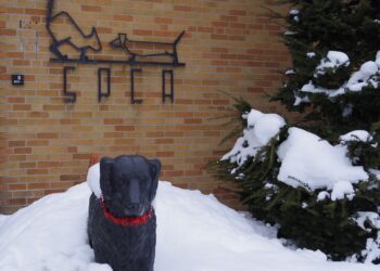 Support CNY SPCA’s new leadership as it tries to right the ship (Your Letters)