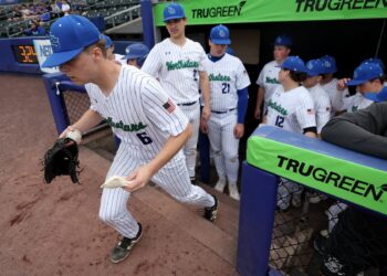 CNS baseball passes final Class AAA test: ‘Wanted a little taste’