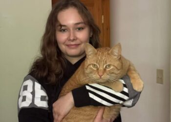 Police identify Ithaca man charged with fatally stabbing 19-year-old Syracuse native