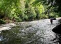 Rangers rescue kayakers stranded in ADK rapids