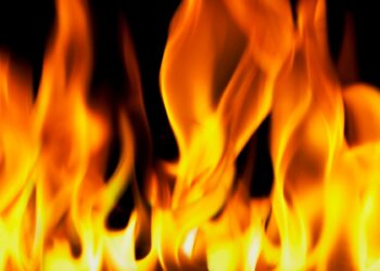 Firefighters rescue 2 cats from late-night fire in Tompkins County