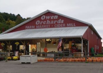 30 acres, 30-plus apple varieties: Owen Orchards opens daily for apple picking near Auburn